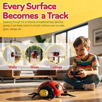 Contixo RC7 Kids RC Stunt Ladybug – Remote Control Bug Toy with LED Lights, 360° Rotation, Sprays, Indoor & Outdoor Fun for Kids